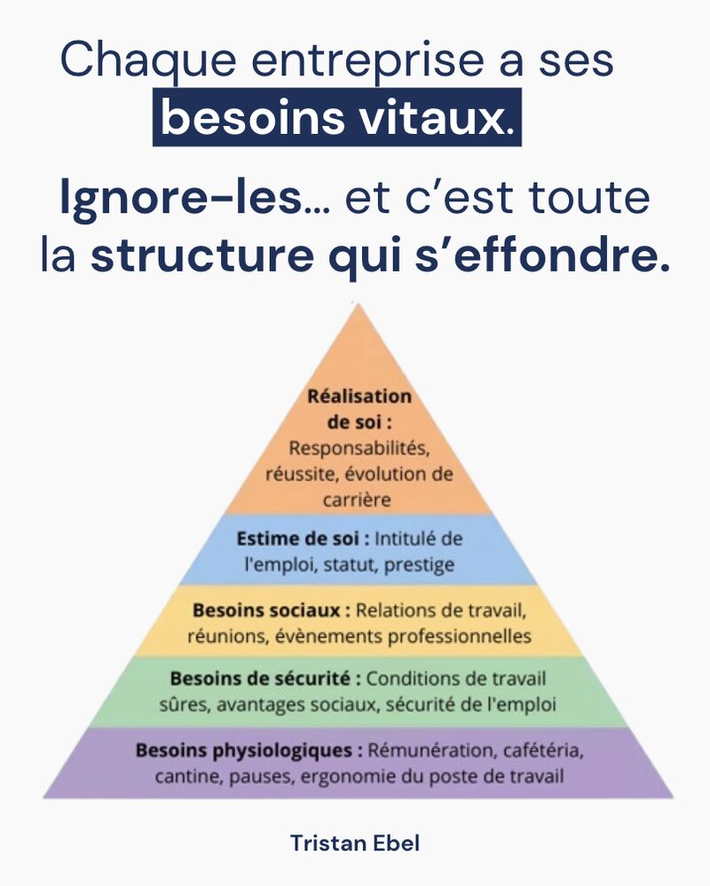 Image du post LinkedIn: Chaque entreprise a ses besoins vitaux